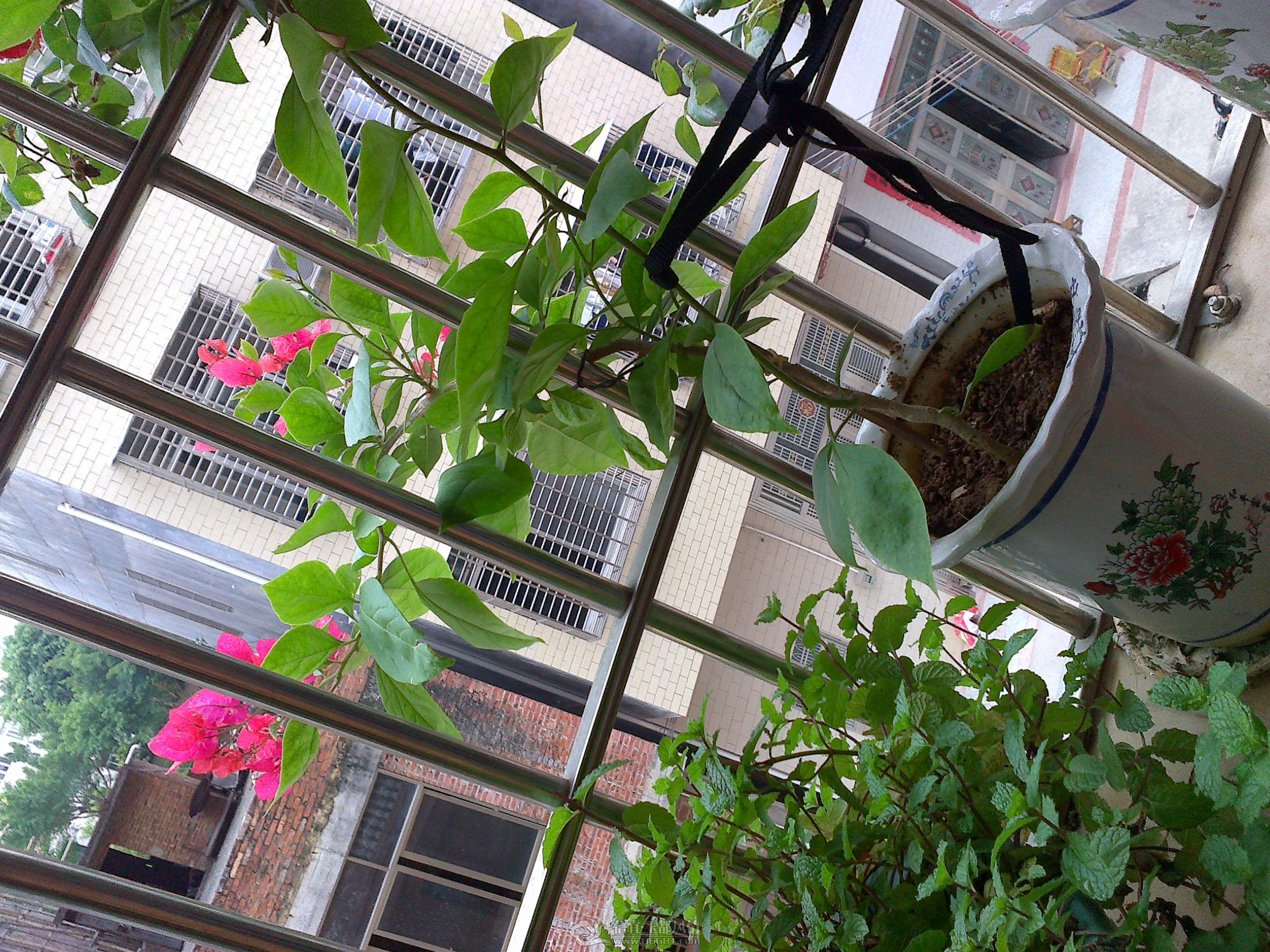 20121028131.jpg