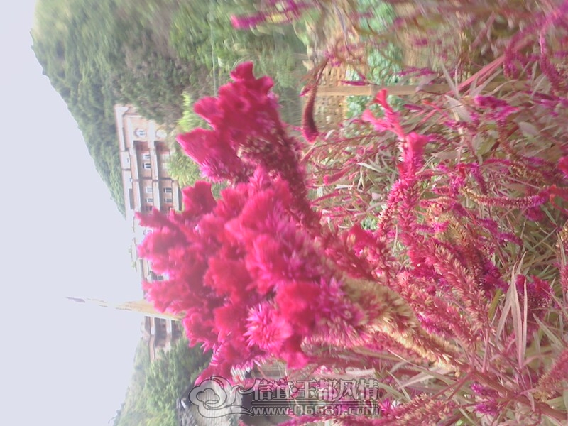 IMG1027141900.jpg