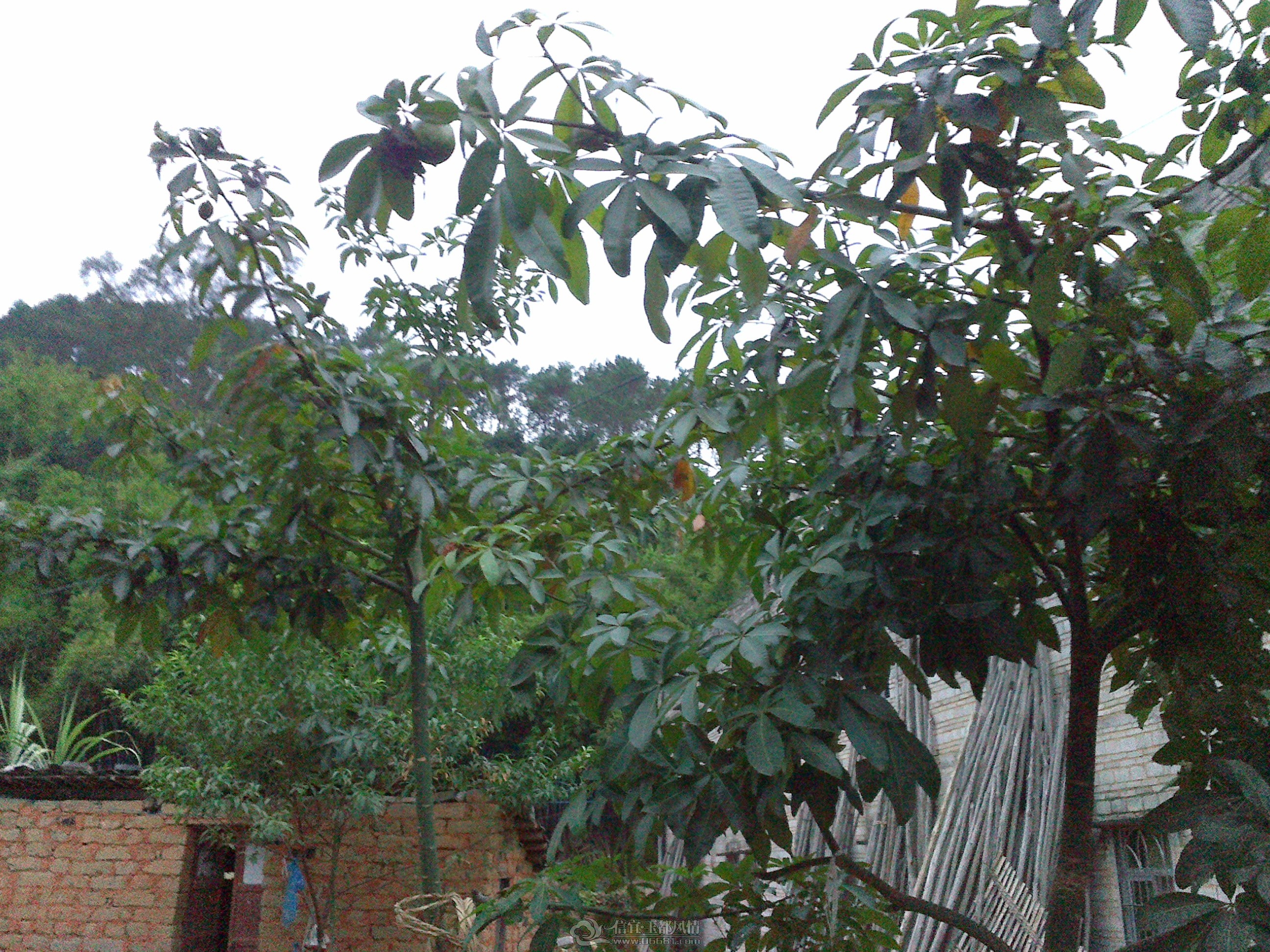 20121028134.jpg