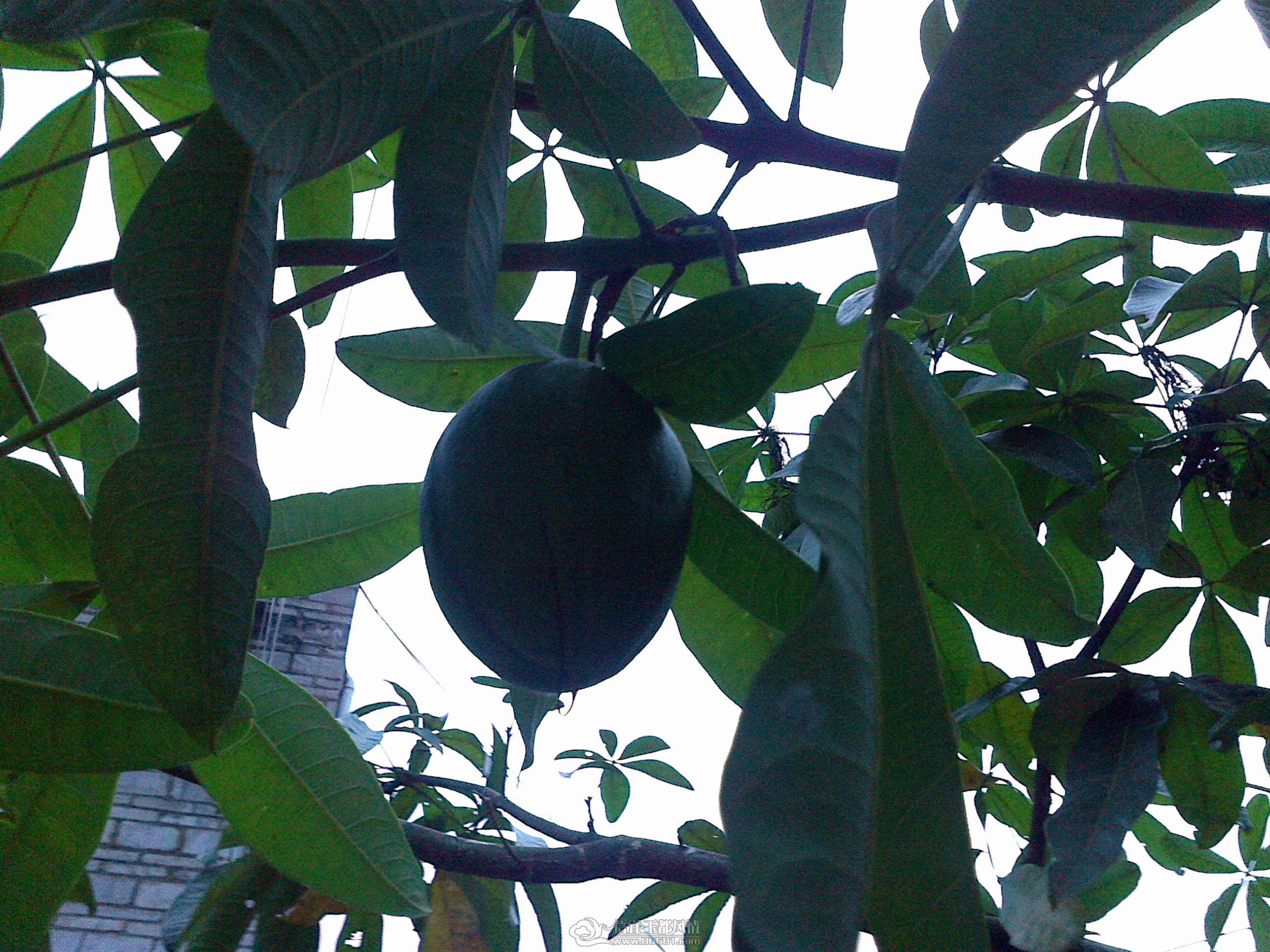 20121028136.jpg
