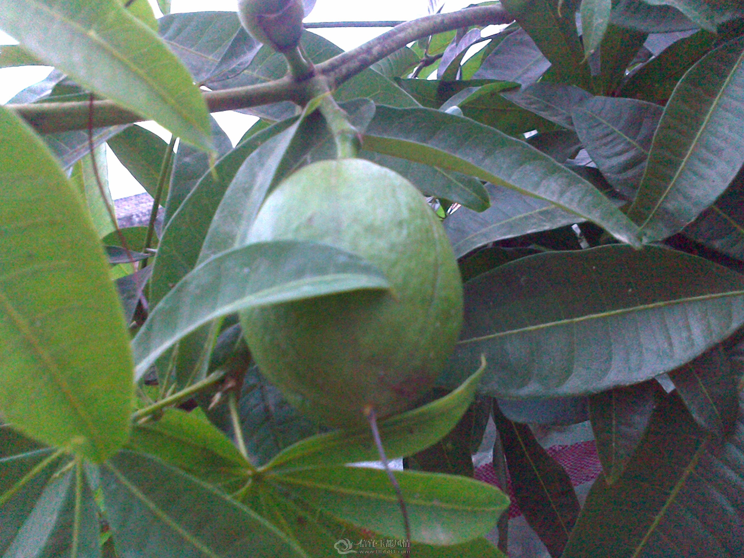 20121028142.jpg