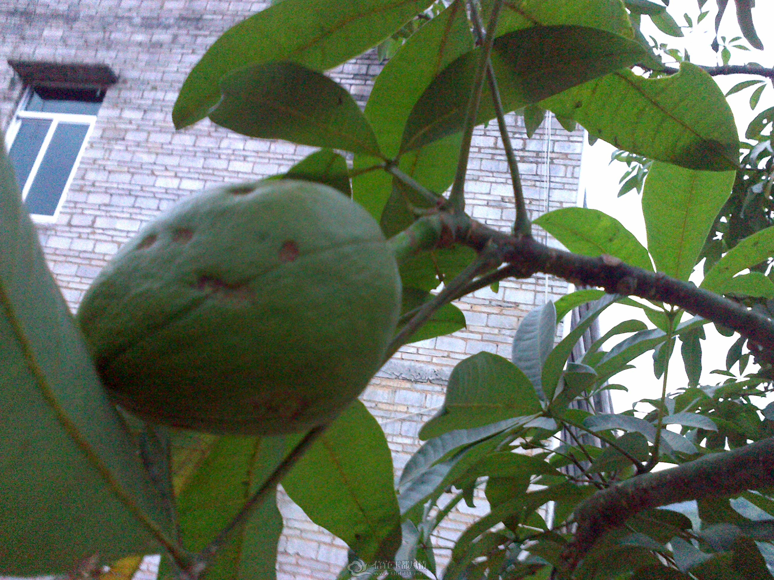 20121028143.jpg
