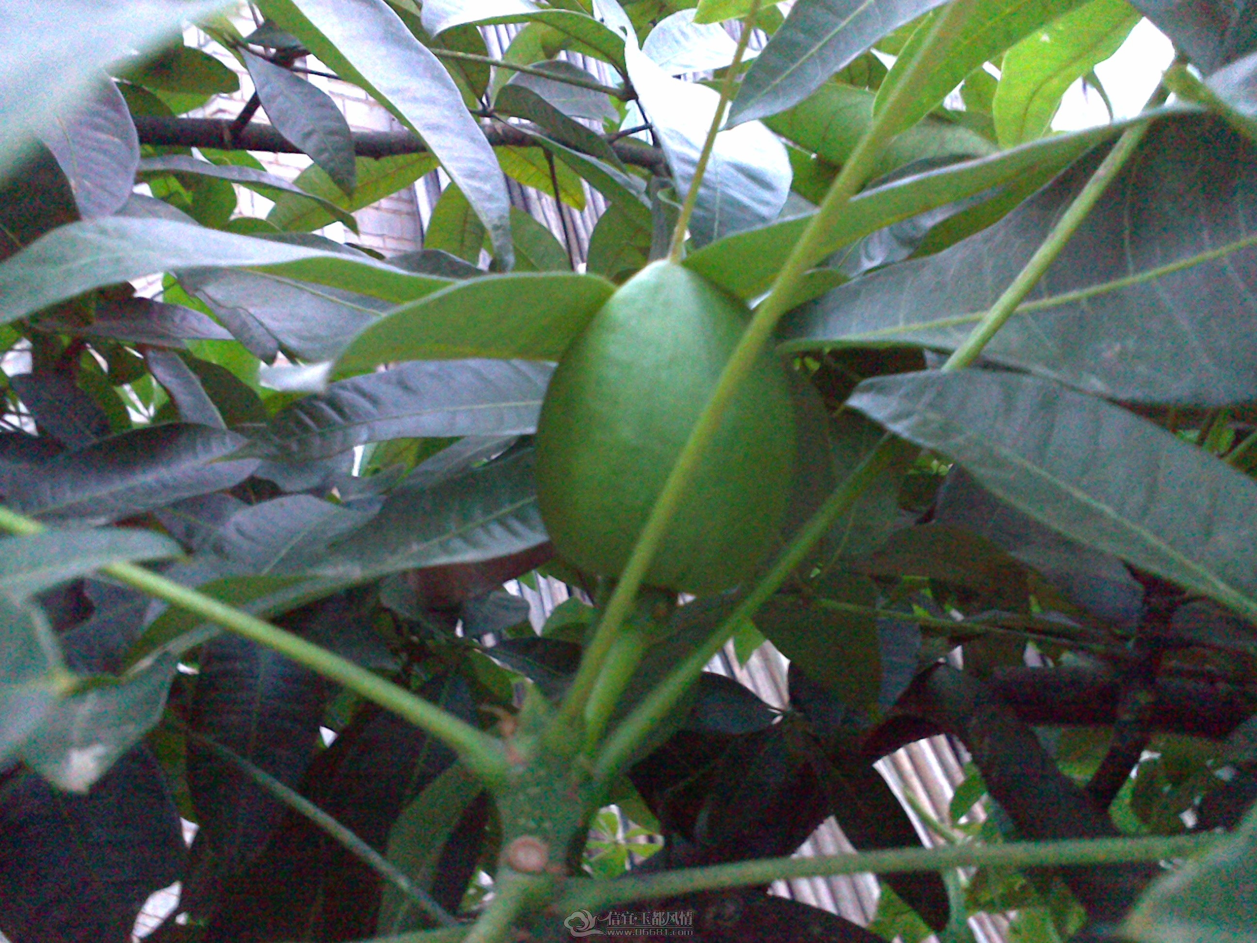 20121028147.jpg