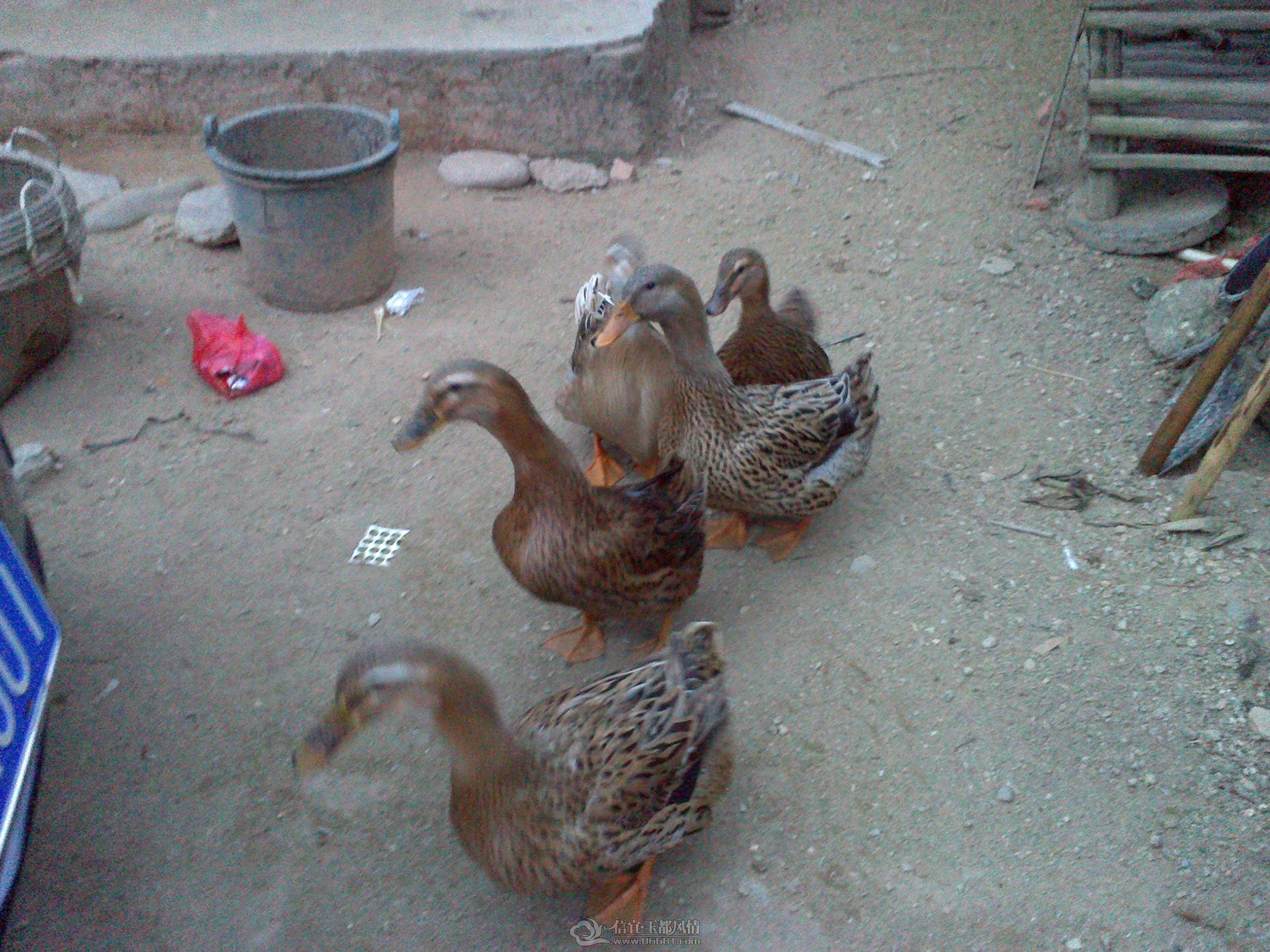 20121028145.jpg