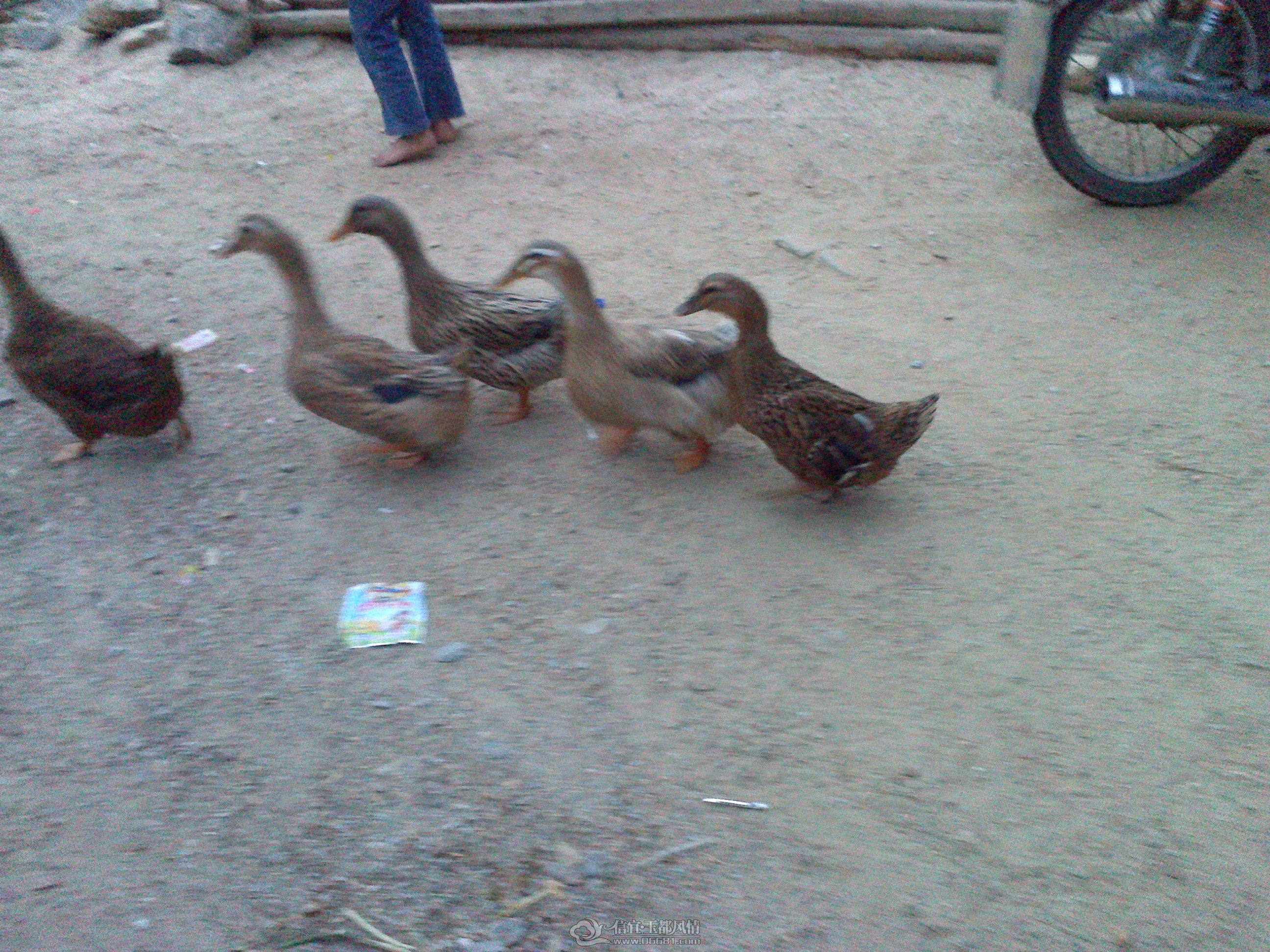 20121028146.jpg