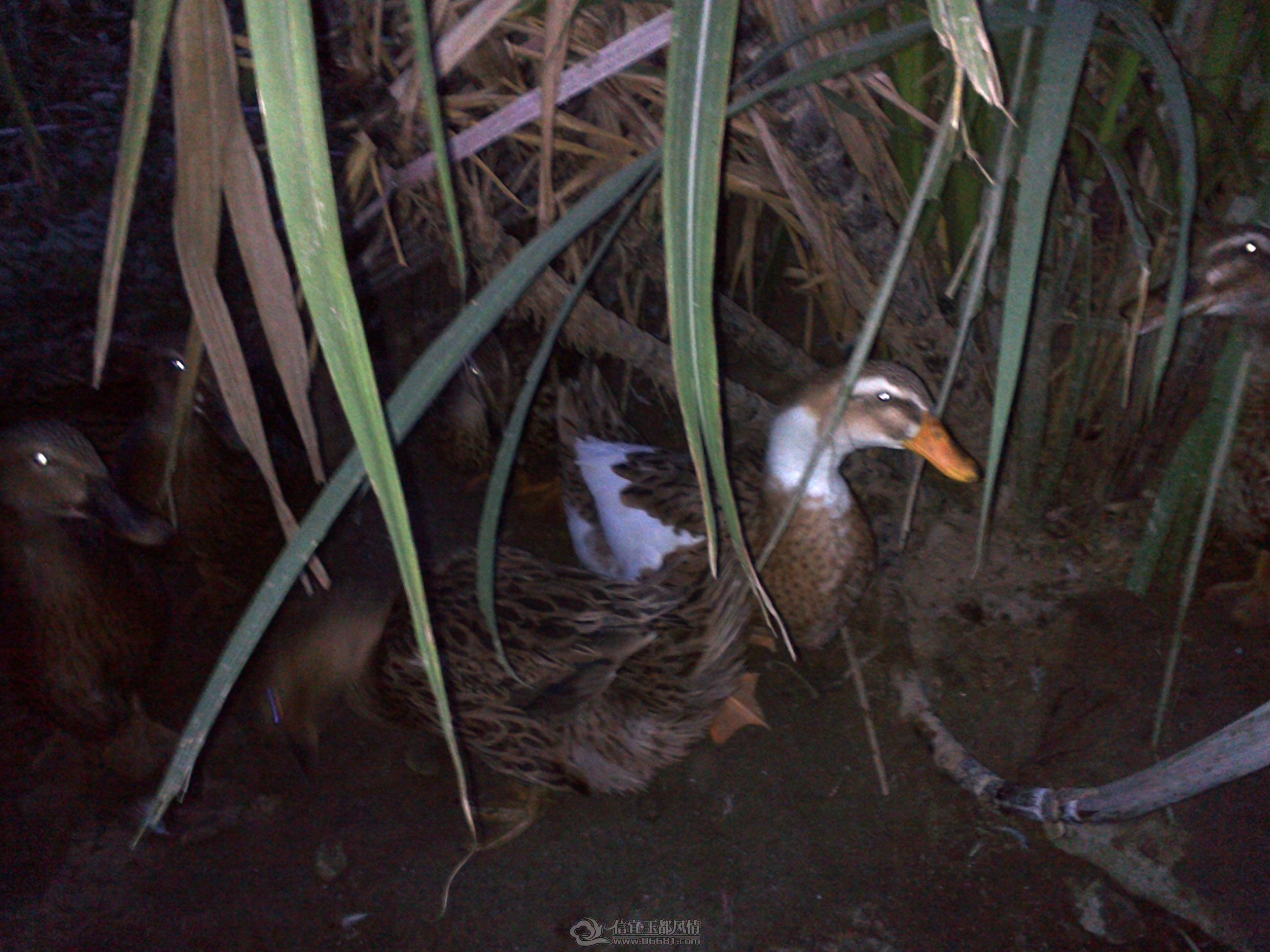 20121028161.jpg