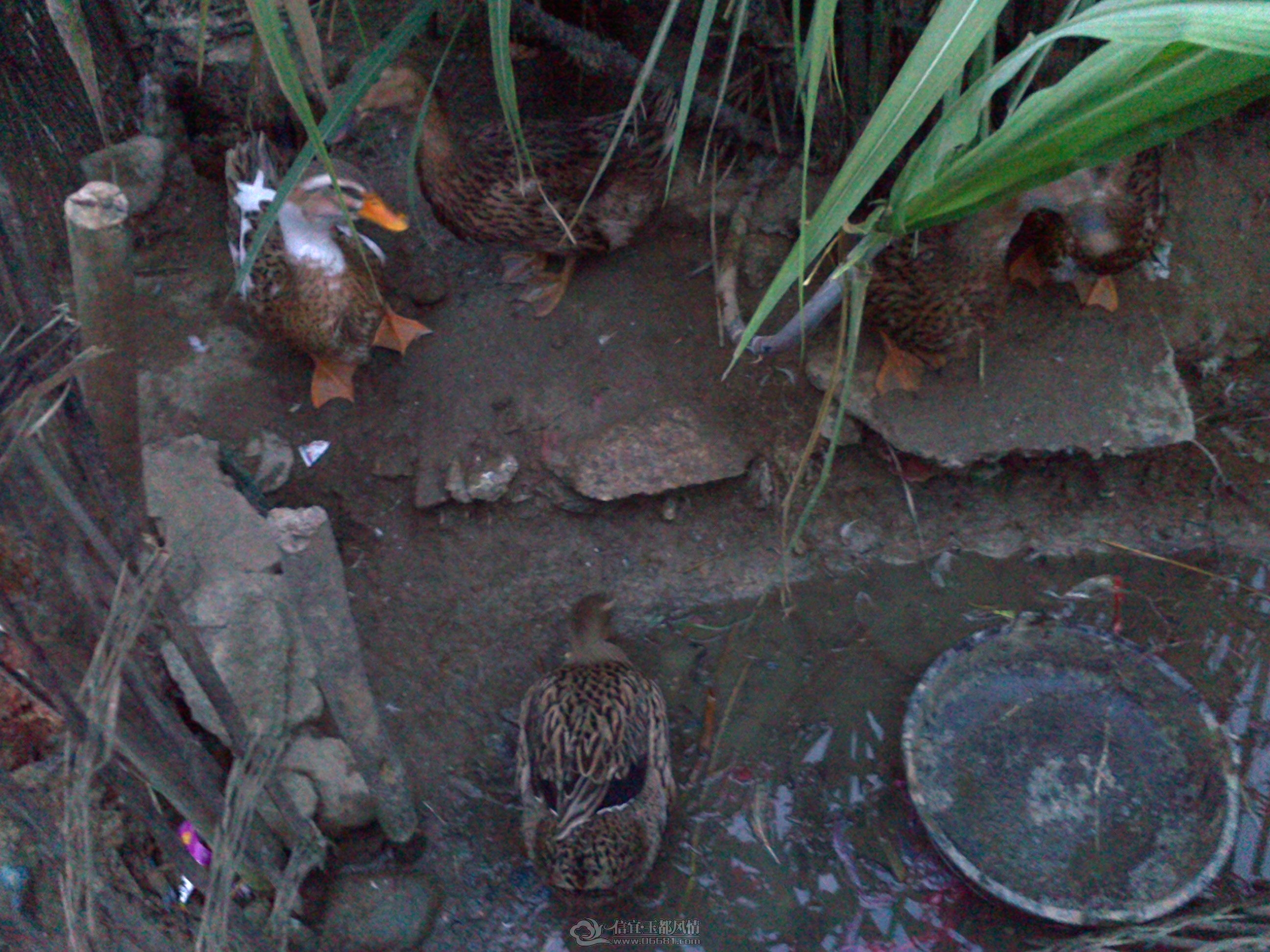 20121028157.jpg