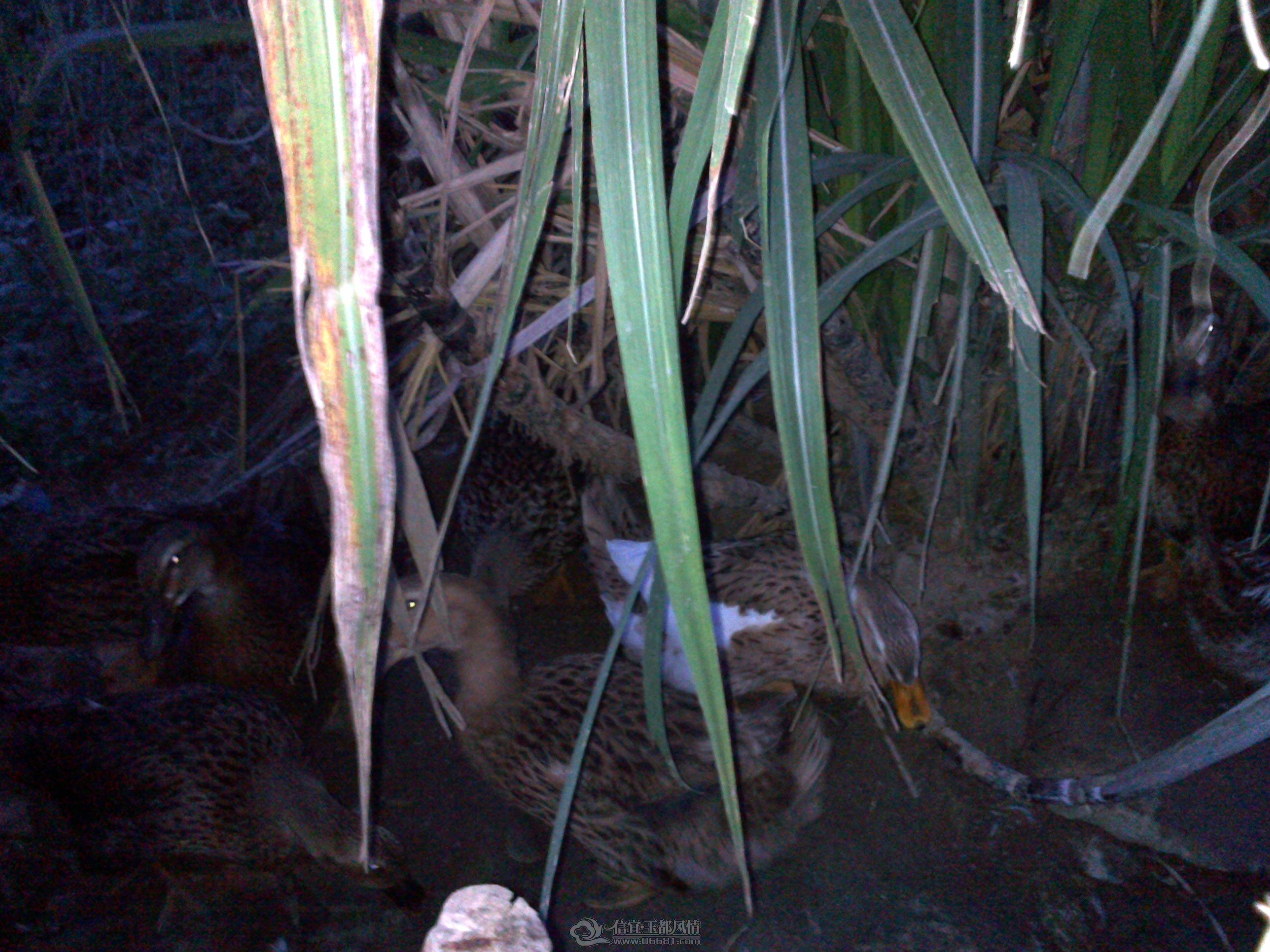 20121028160.jpg