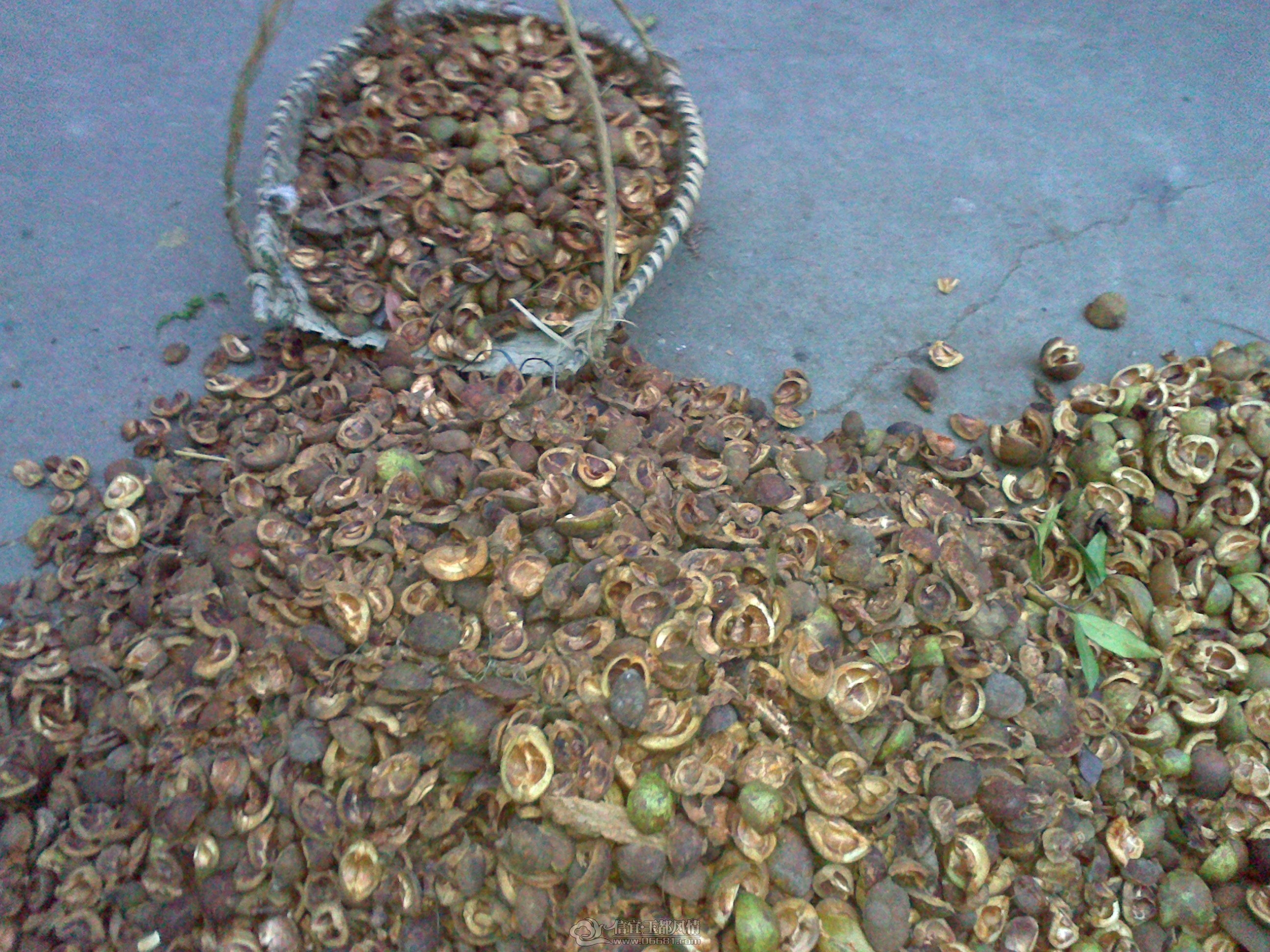 20121028148.jpg