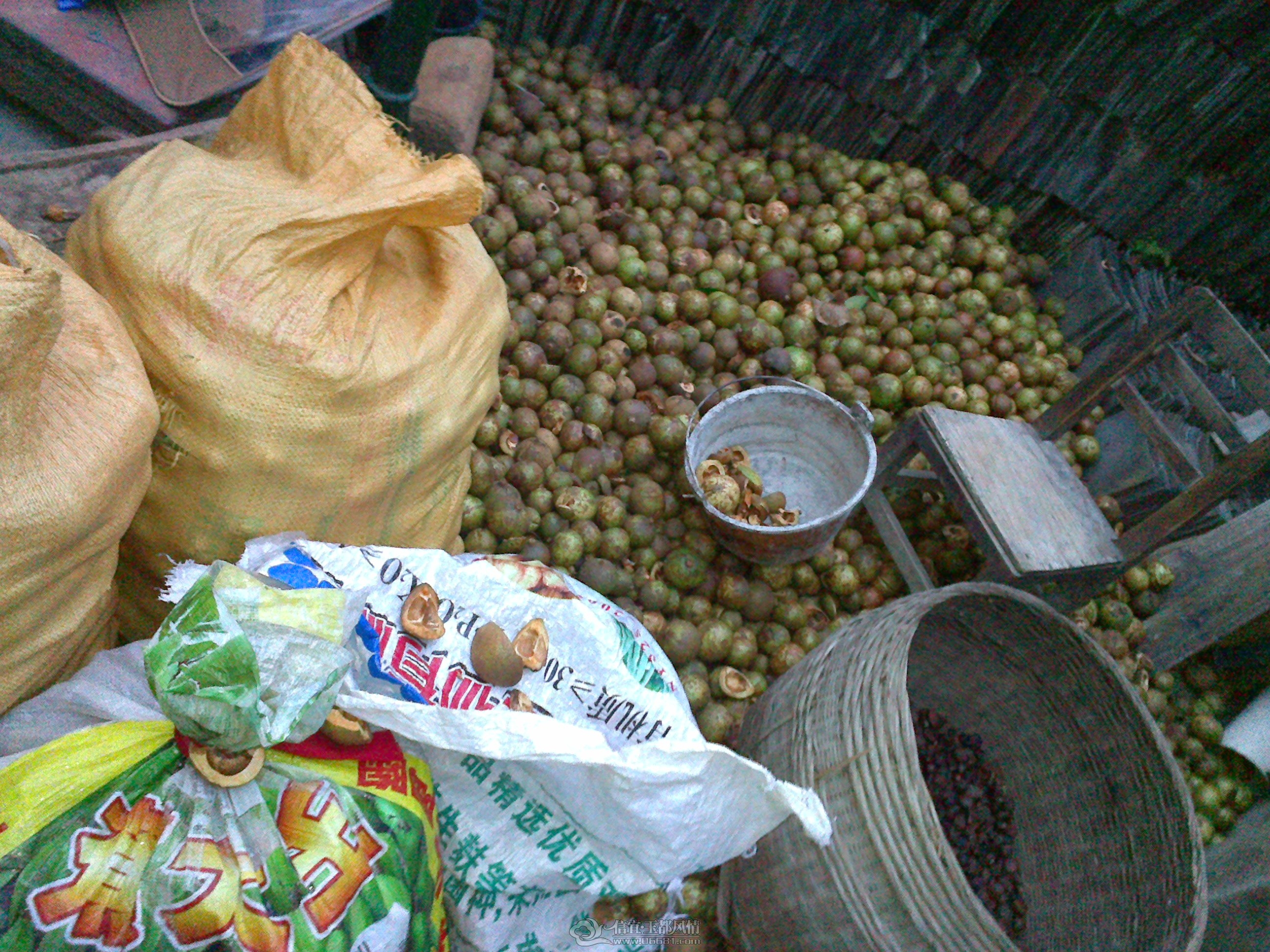 20121028149.jpg