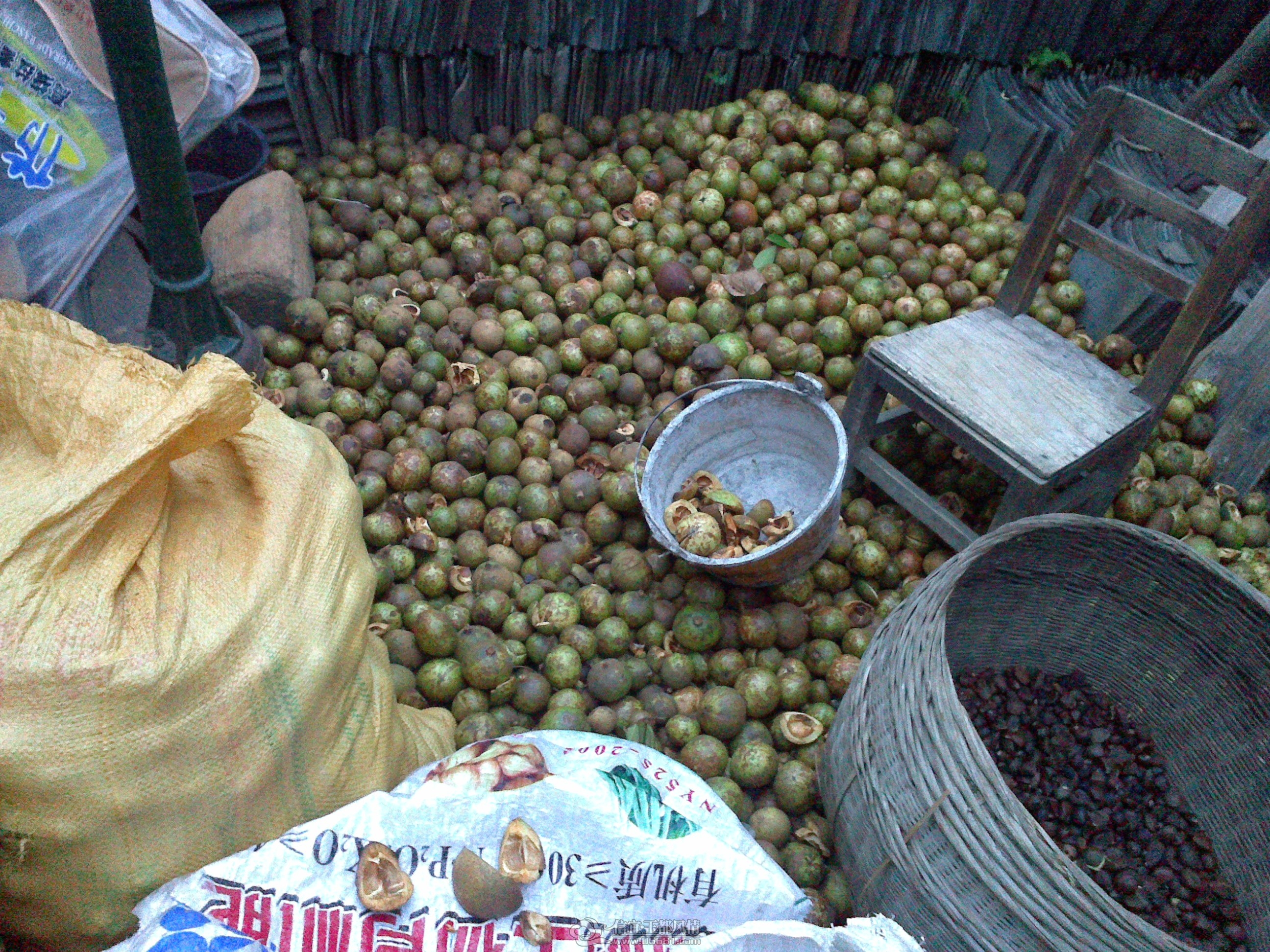 20121028150.jpg
