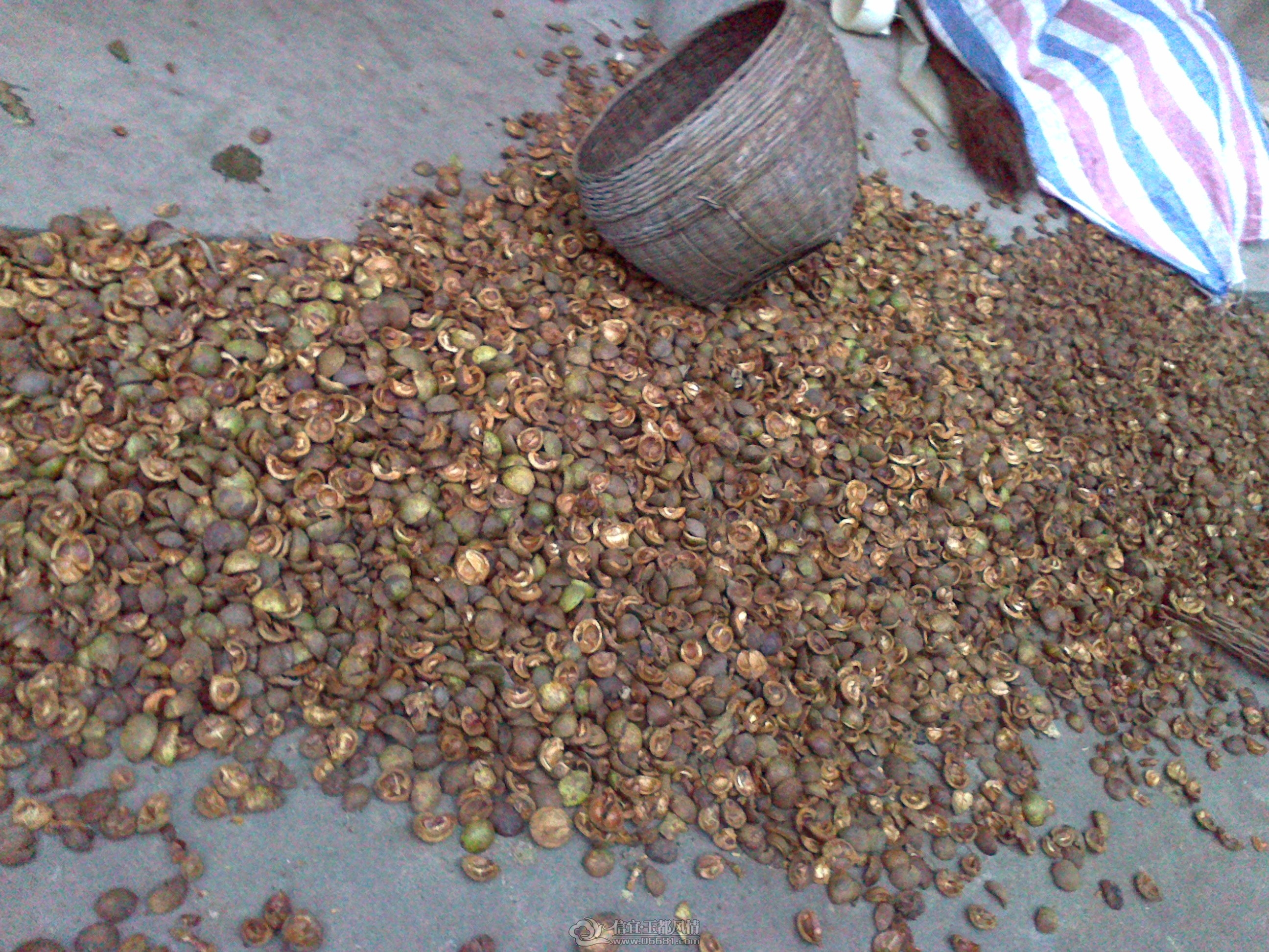 20121028153.jpg