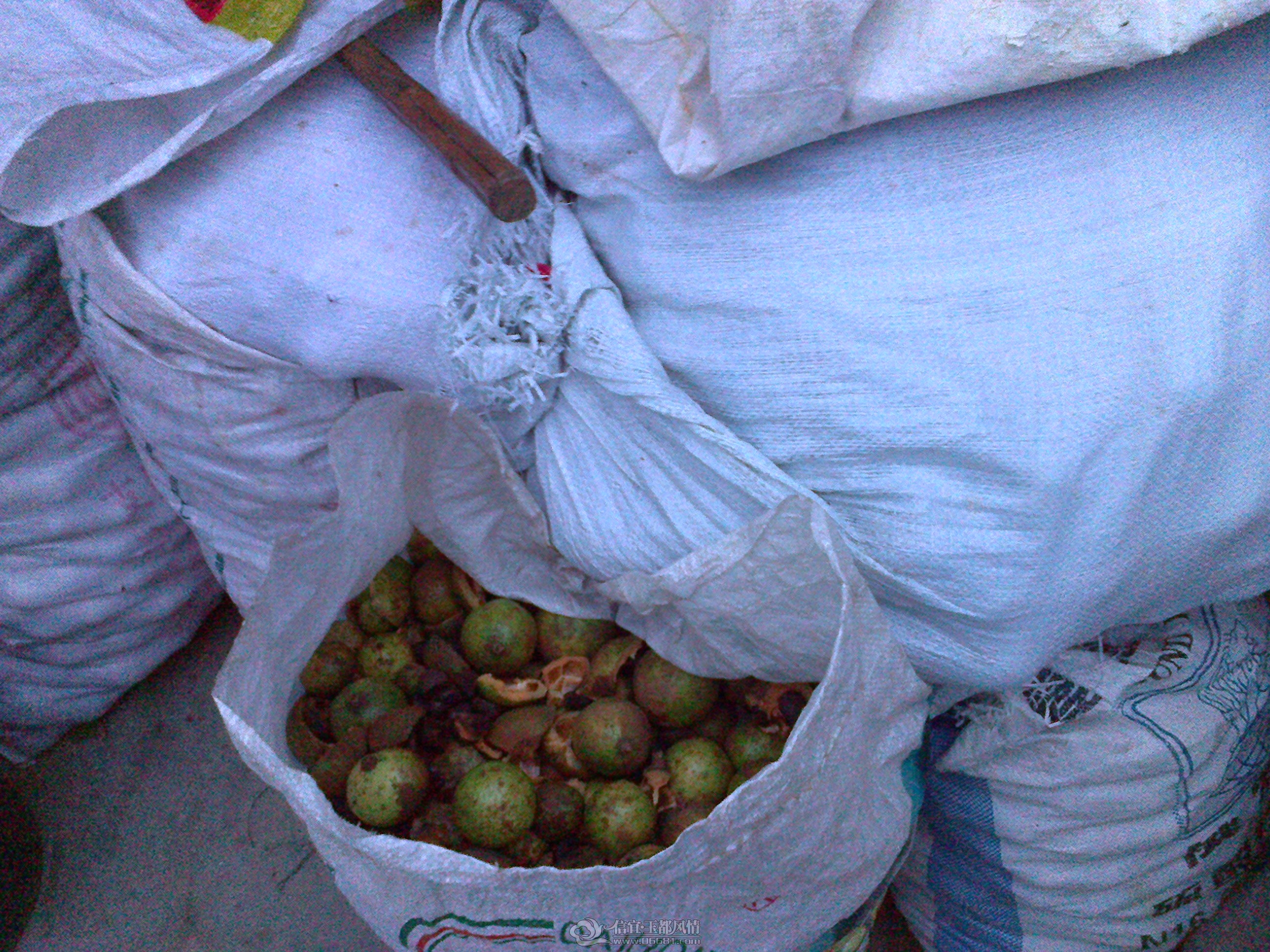 20121028154.jpg