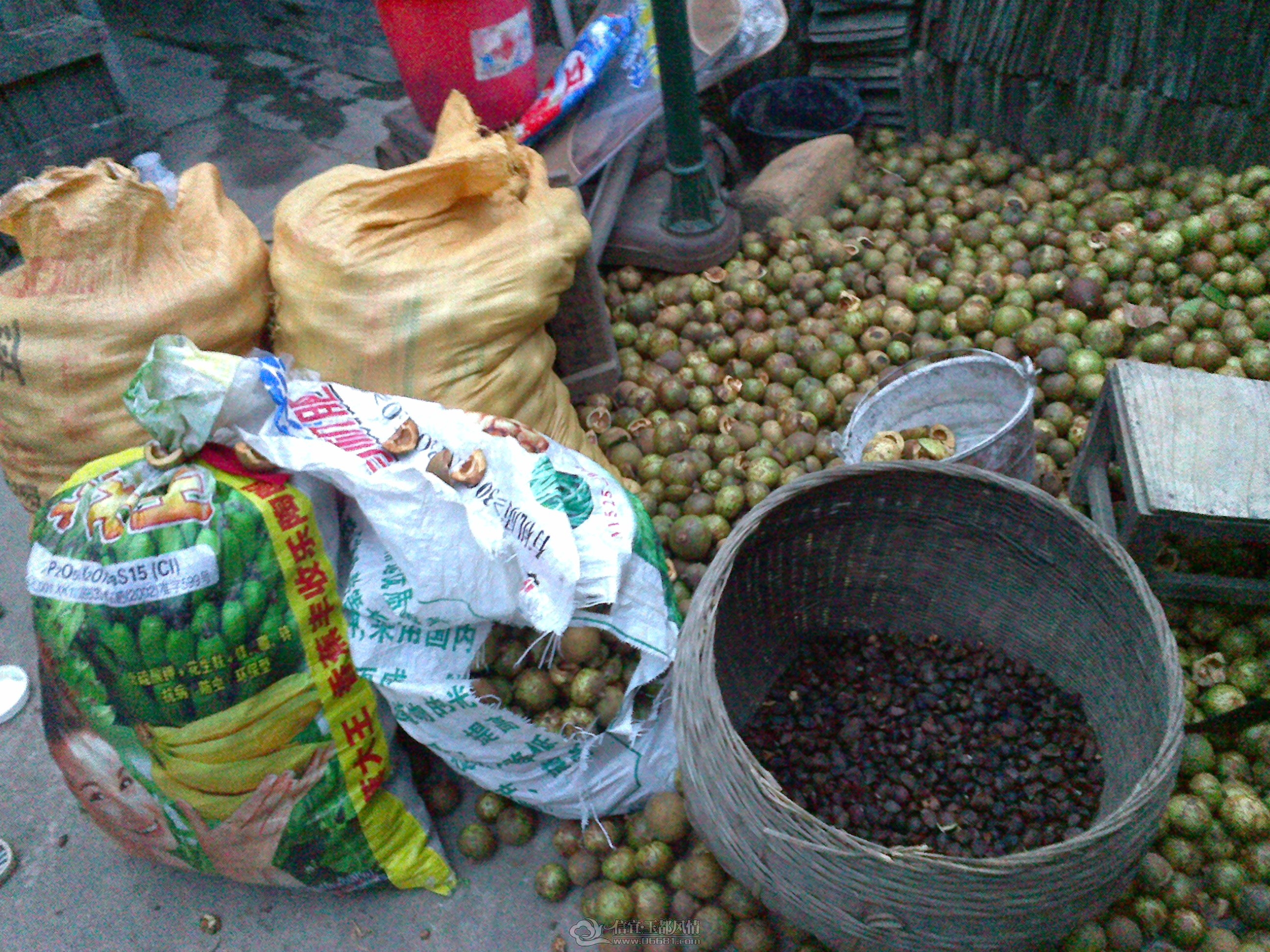 20121028155.jpg