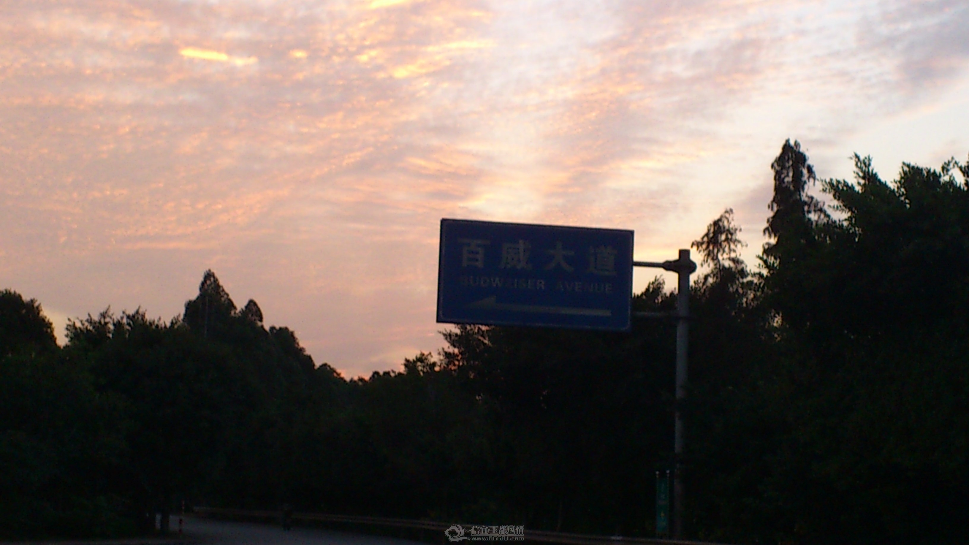 DSC_0102.JPG
