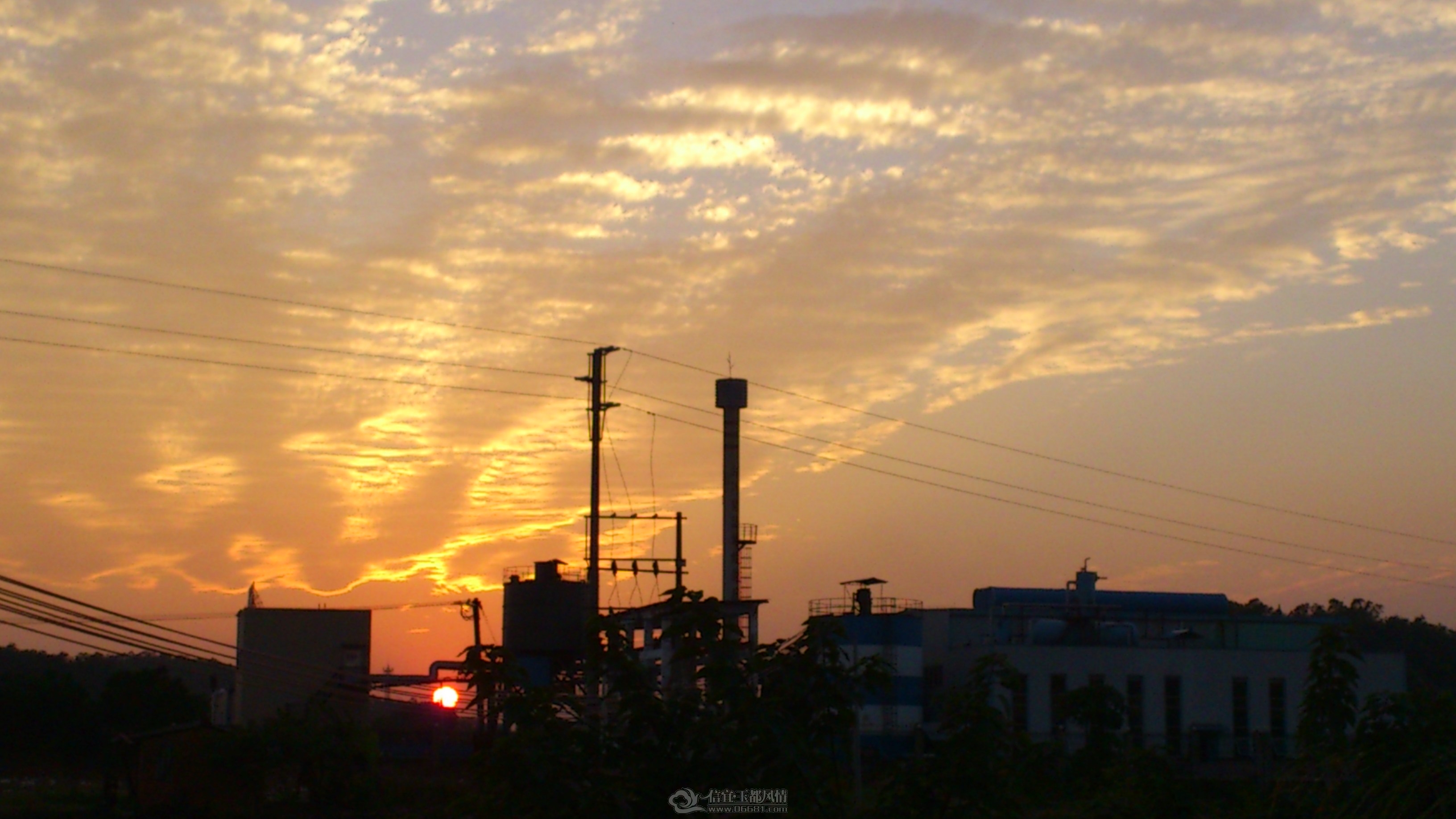DSC_0100.JPG