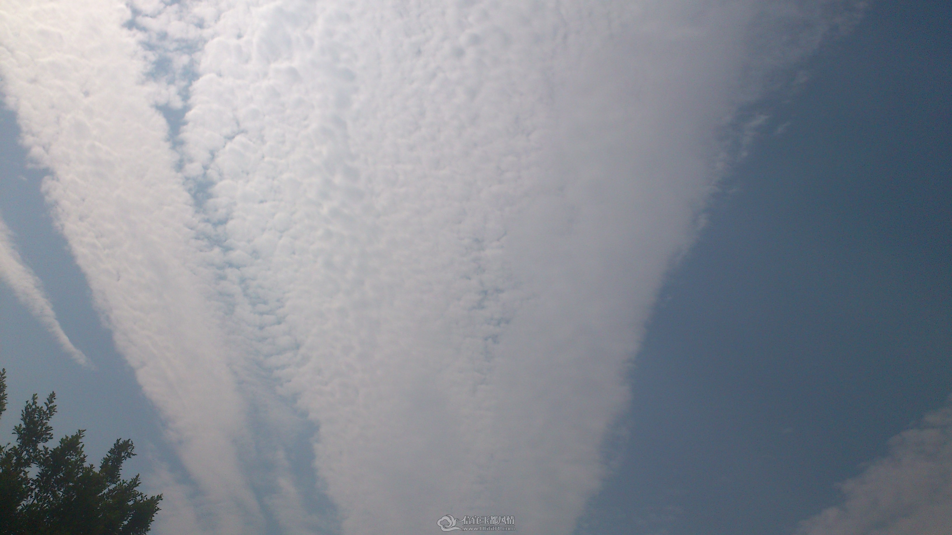 DSC_0097.JPG