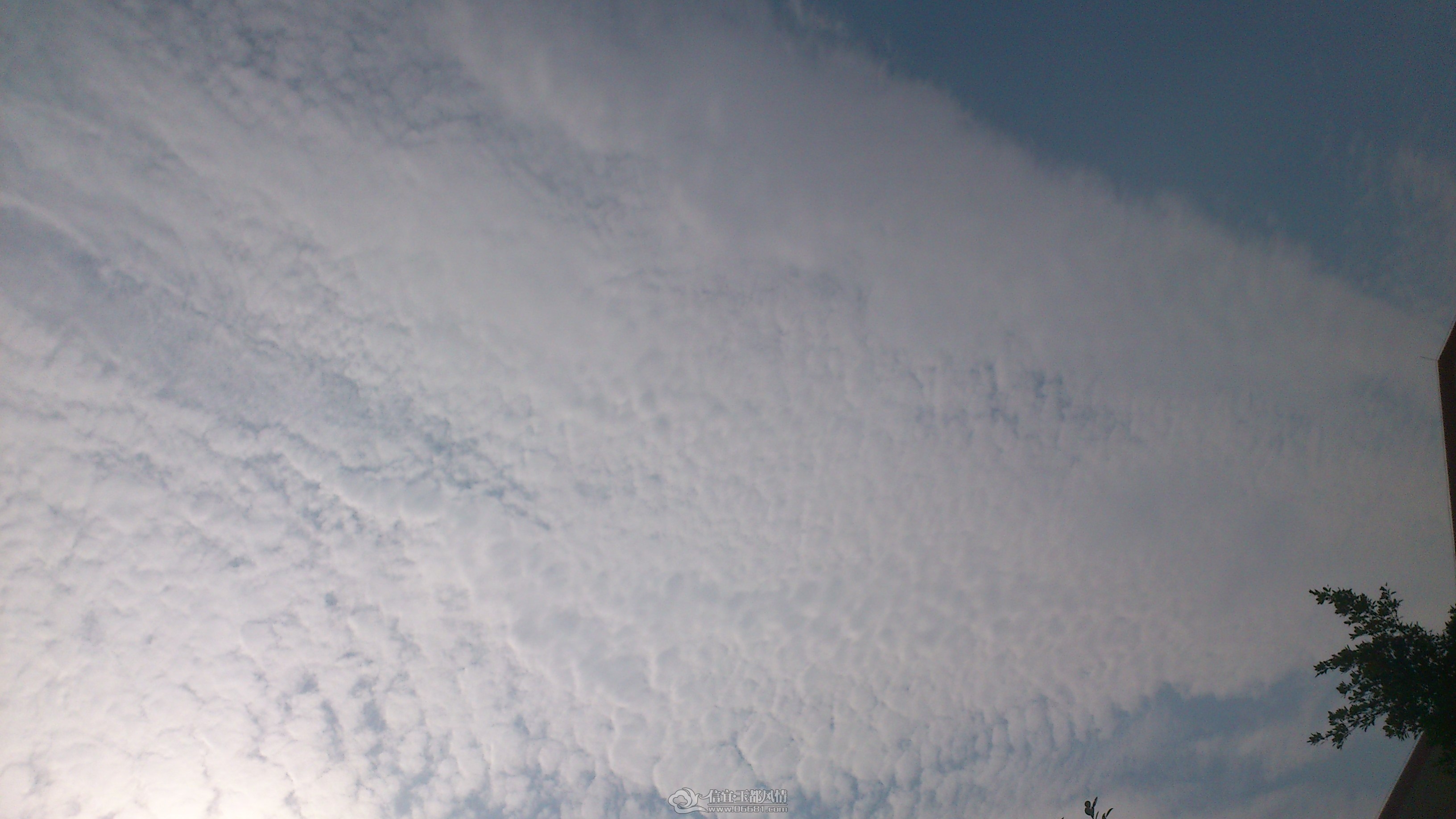 DSC_0096.JPG