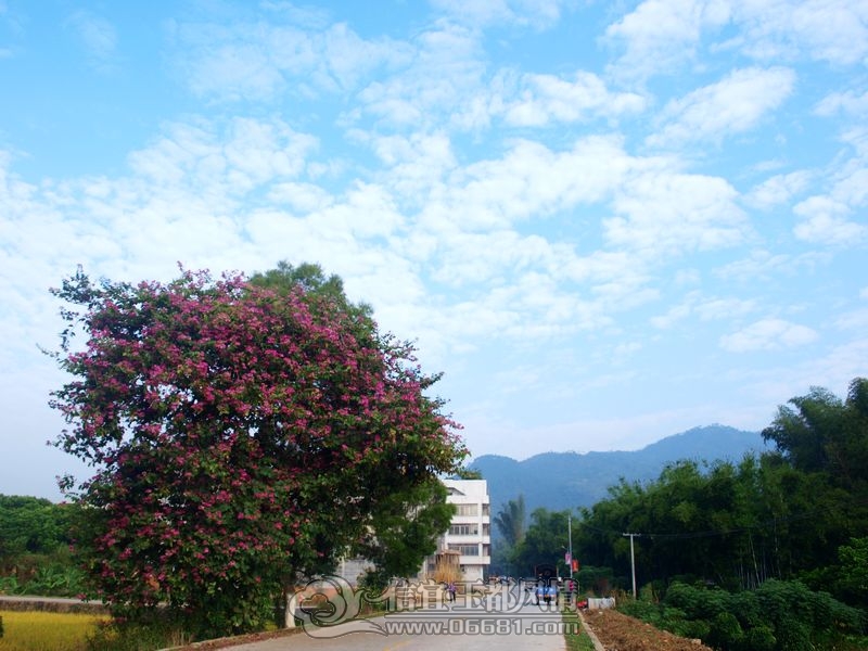 PB035713.jpg