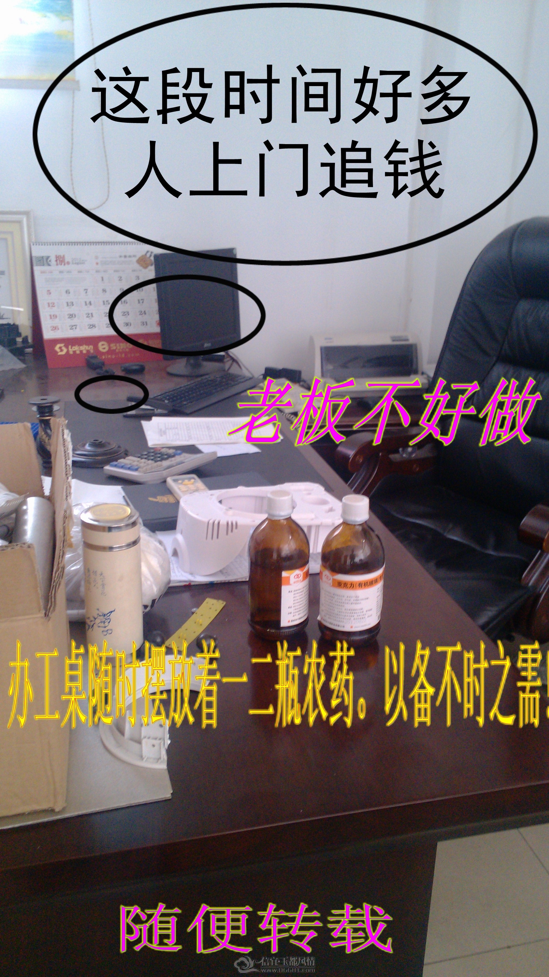 IMG_20121103_155918_conew2.jpg
