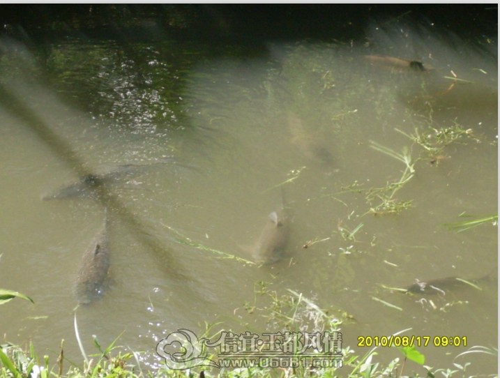 QQ��ͼ20121105000701.png