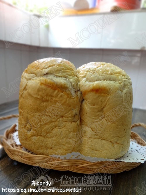 DSC00252_conew2.jpg
