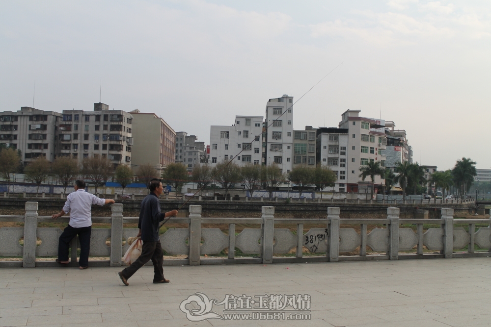 DPP_0034.JPG
