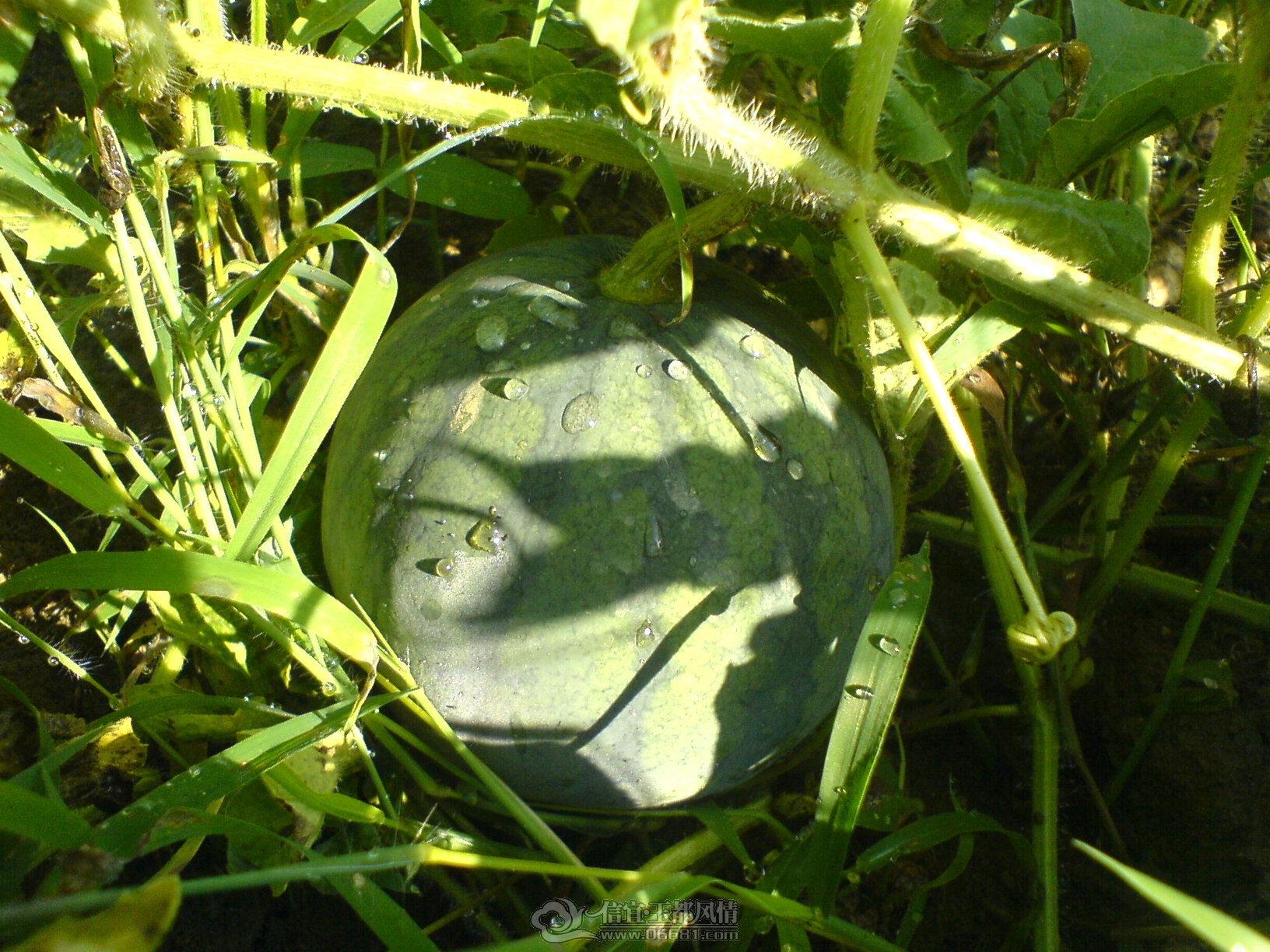 DSC01047.JPG