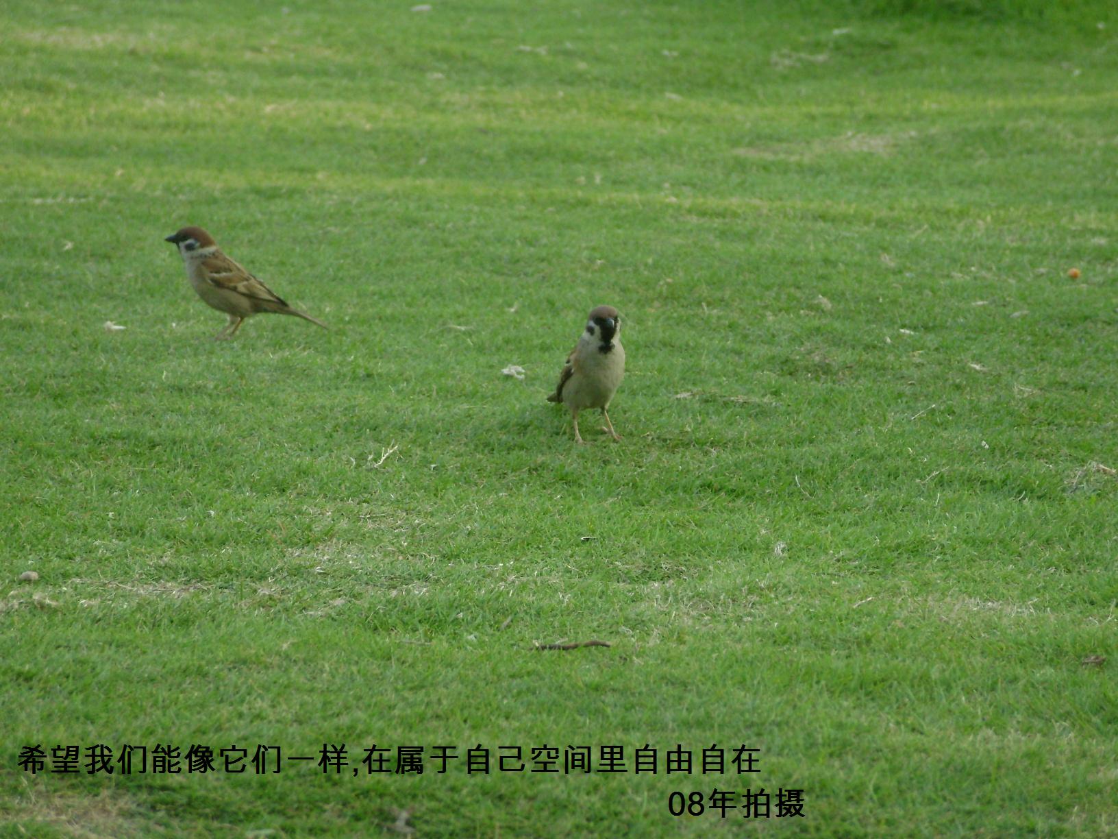 DSC00007.JPG