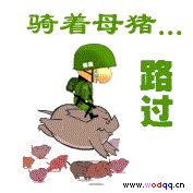 20071024134443124.gif
