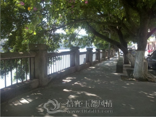 2012-11-02_10-40-31_15.jpg