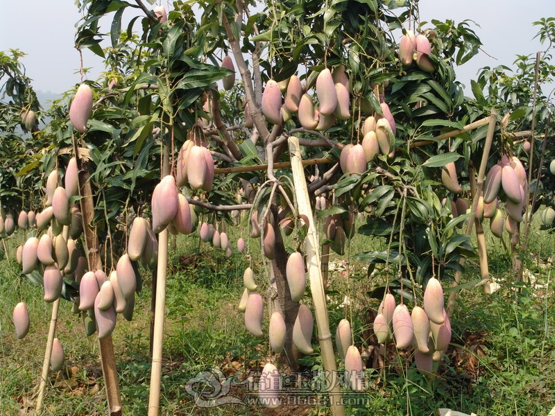 201114143708050.jpg