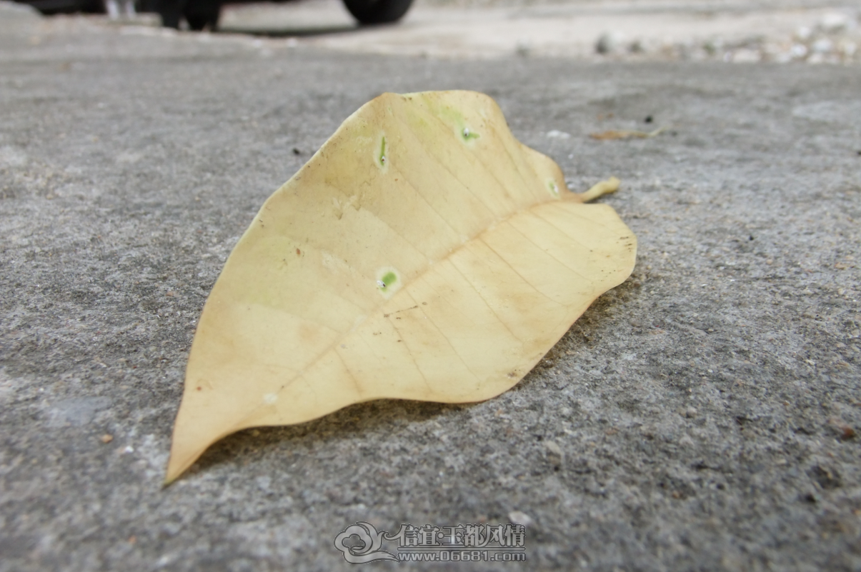 QQ��ͼ20121109152327.png