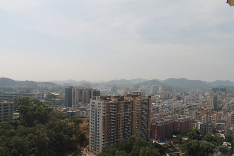 DPP_0029.JPG