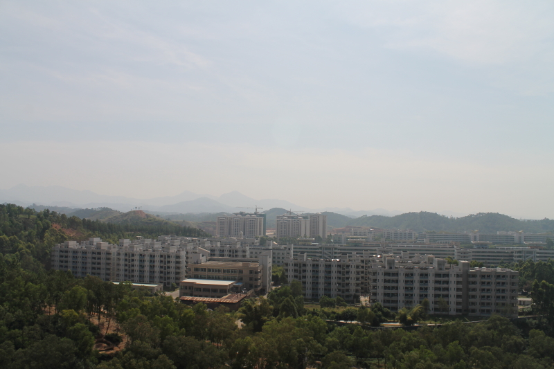 DPP_0030.JPG
