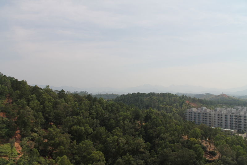 DPP_0033.JPG
