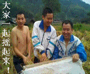 δ����222.gif