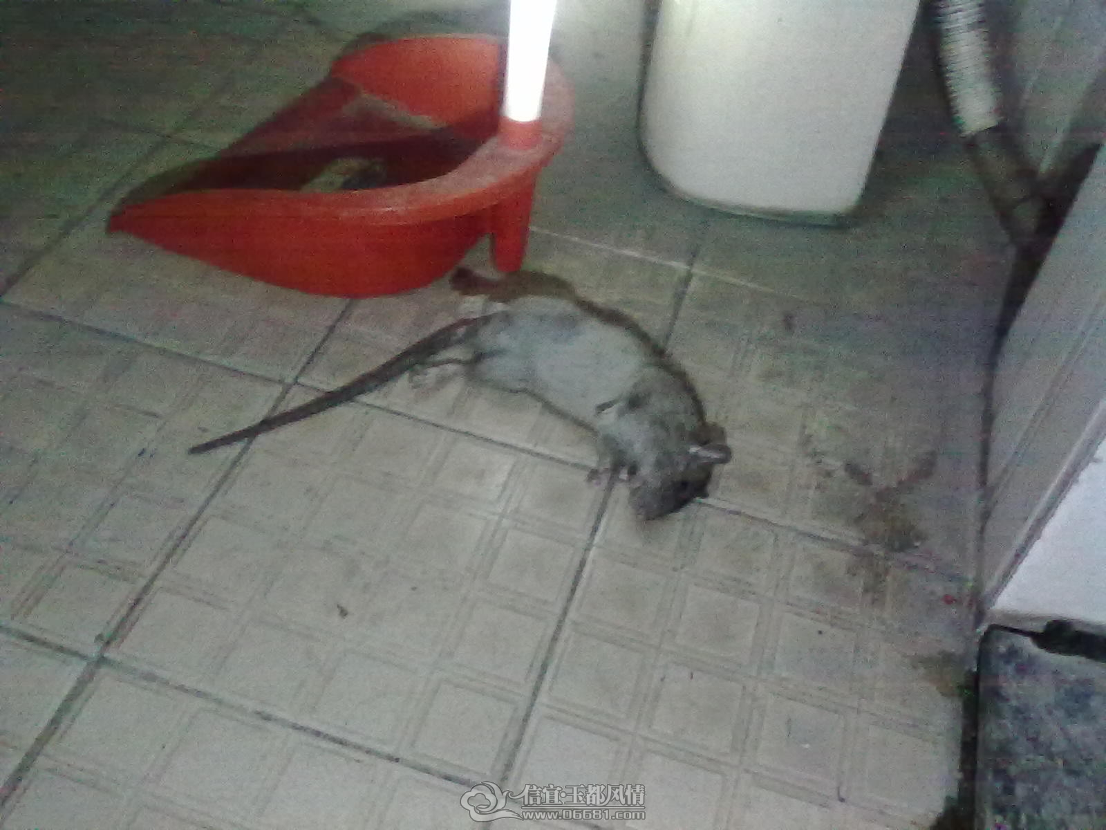 20121113427.jpg
