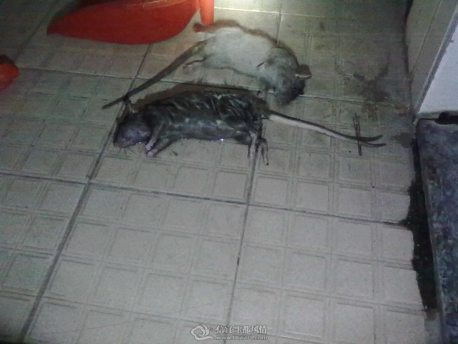 20121113429.jpg