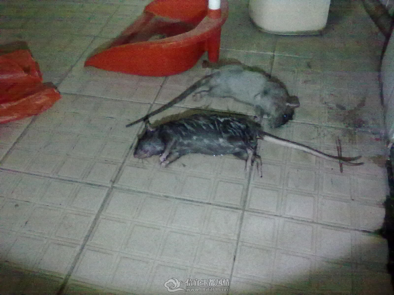 20121113428.jpg
