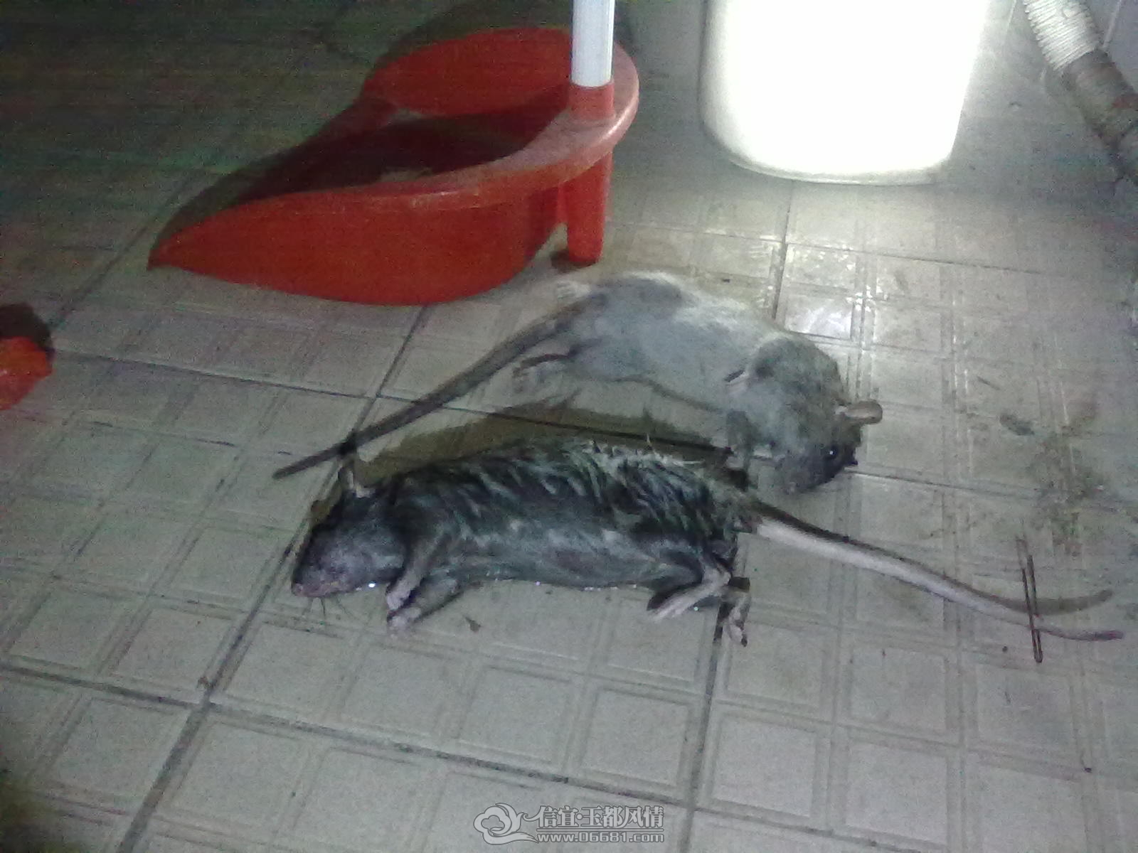 20121113432.jpg