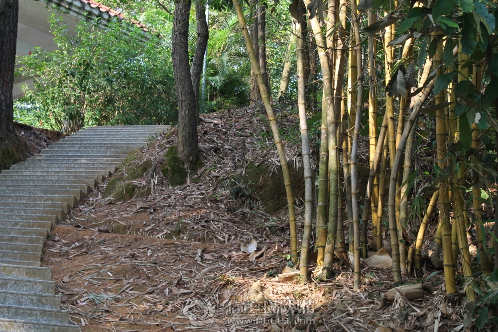 DPP_0026.JPG