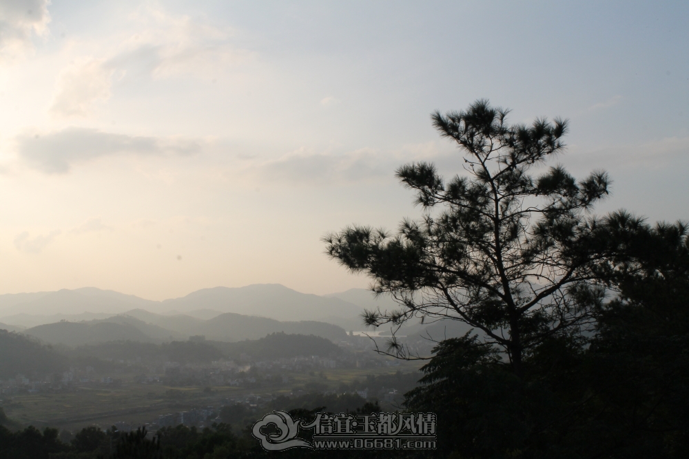 DPP_0041.JPG