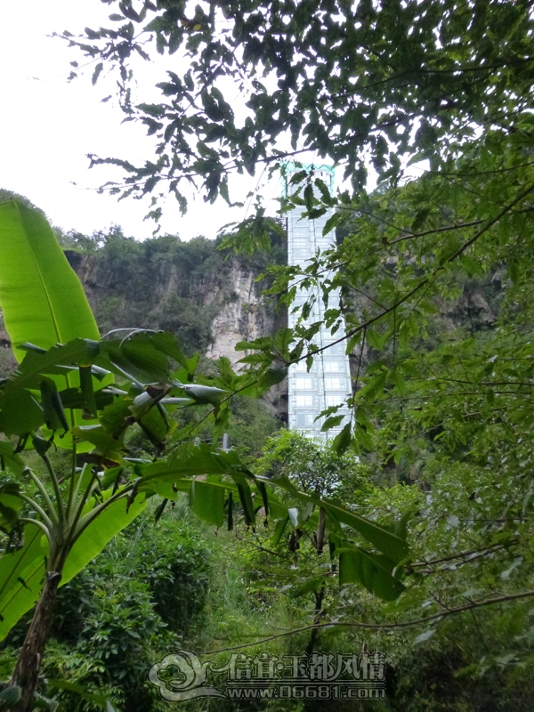P1010594_s.jpg