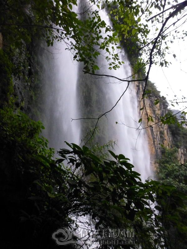 P1010588_s.jpg