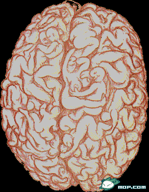 32fa828ba61ea8d30e2bfe4e970a304e251f586b.gif