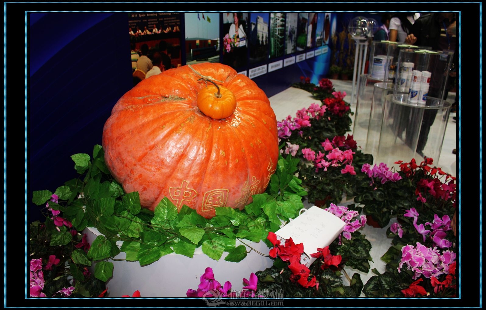 IMG_0077.jpg