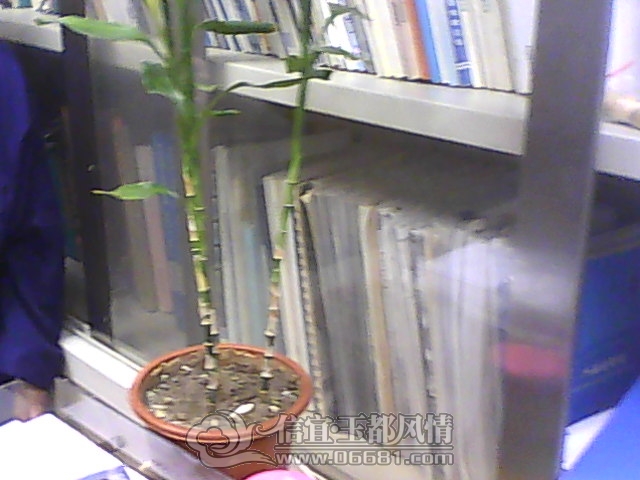 IMG1117160401.jpg