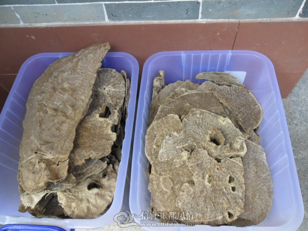 SAM_9780.JPG