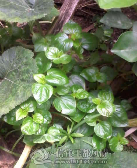 QQ��ͼ20121118160203.png